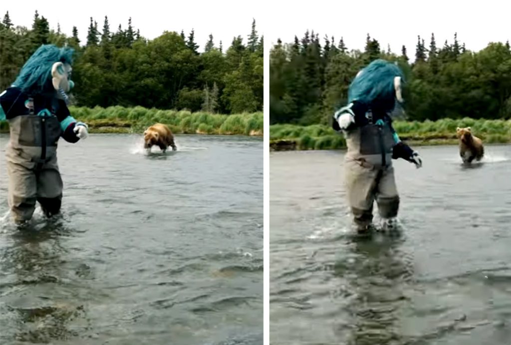 Le joueur de la LNH chargé par Bear blâme la mascotte debout à côté de lui