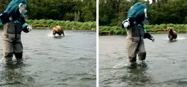 Le joueur de la LNH chargé par Bear blâme la mascotte debout à côté de lui Le joueur de la LNH chargé par Bear blâme la mascotte debout à côté de lui