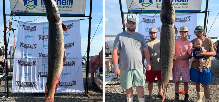 Ce GAR pèse 20 livres de plus que le record de l'État, mais il ne sera pas admissible
