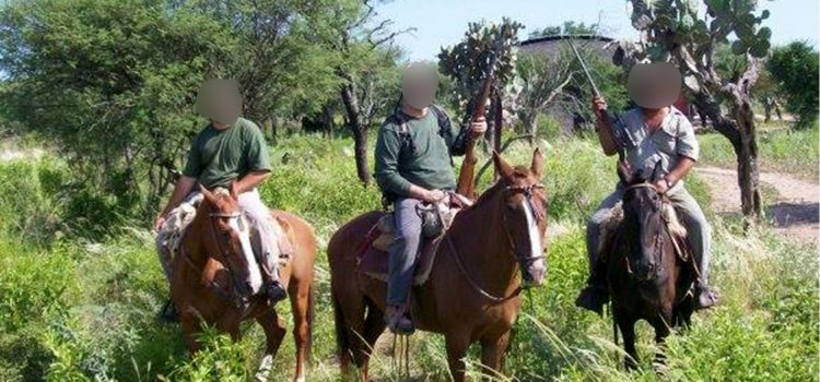 Le plus grand buste de braconnage de l’Argentine impliquait des «armes de guerre», un petit cuma en direct et un pourvoyeur qui a essayé de fuir au Brésil Le plus grand buste de braconnage de l'Argentine impliquait des «armes de guerre», un petit cuma en direct et un pourvoyeur qui a essayé de fuir au Brésil