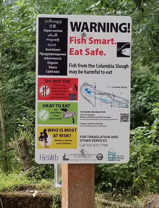 [Titre du site] Les produits chimiques pour toujours sont dans votre poisson sauvage et votre gibier. Tu devrais le manger de toute façon