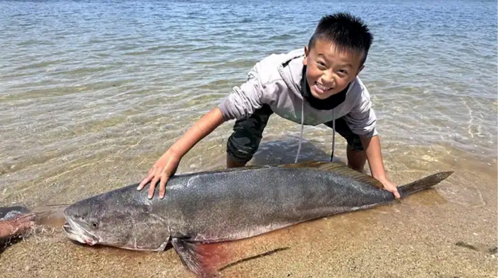 Le bar géant de California Kid pourrait être un nouveau record du monde, à l'exception d'une technicité