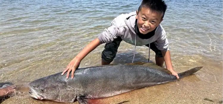 Le bar géant de California Kid pourrait être un nouveau record du monde, à l’exception d’une technicité Le bar géant de California Kid pourrait être un nouveau record du monde, à l'exception d'une technicité