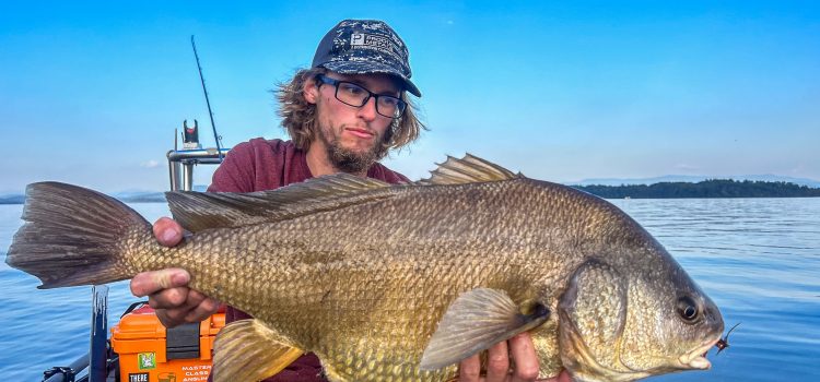 Podcast rapide: le poisson le plus sous-estimé en Amérique vous battra l'enfer
