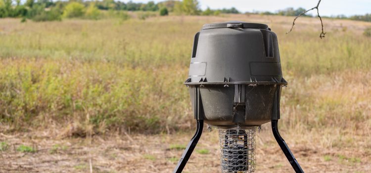 Le Mississippi a déclaré aux chasseurs qu'ils pouvaient appâter sur les terres publiques cet automne. Le seul problème? C'était un canular complet
