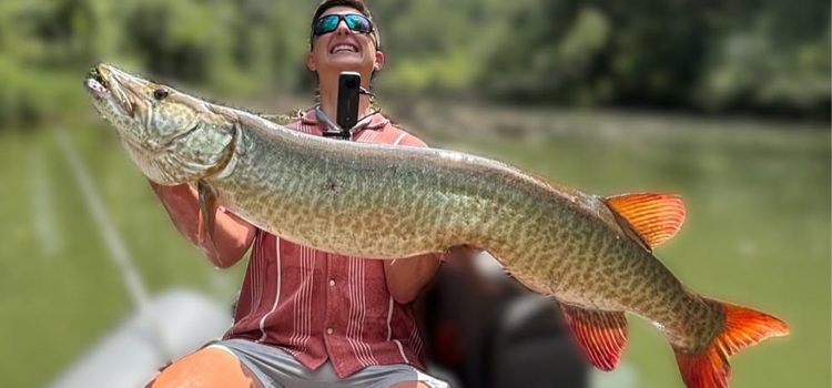C'est peut-être le muskie la plus malade mange que vous verrez jamais
