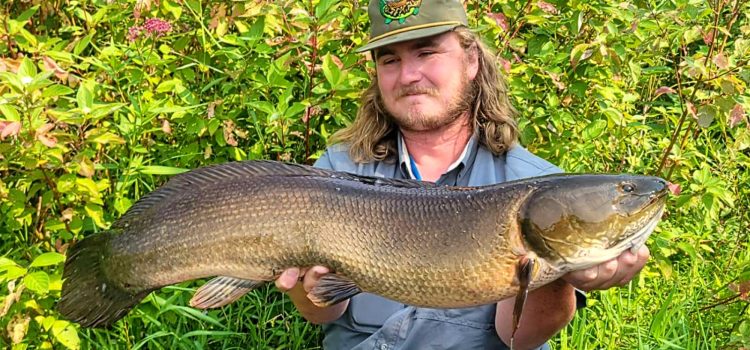 Ce pêcheur en kayak a trouvé un trou de miel à bowfin, puis a décroché un record d'État
