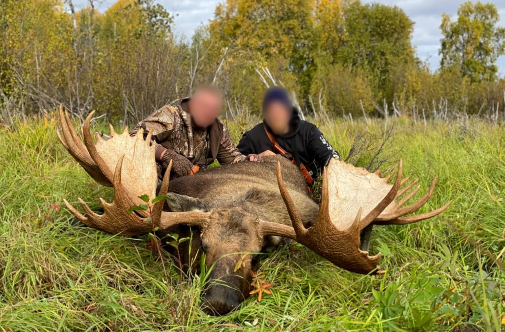Guide de l'Alaska a poursuivi pour arracher 32 Moose Hunters a déjà réservé des voyages pour 2025