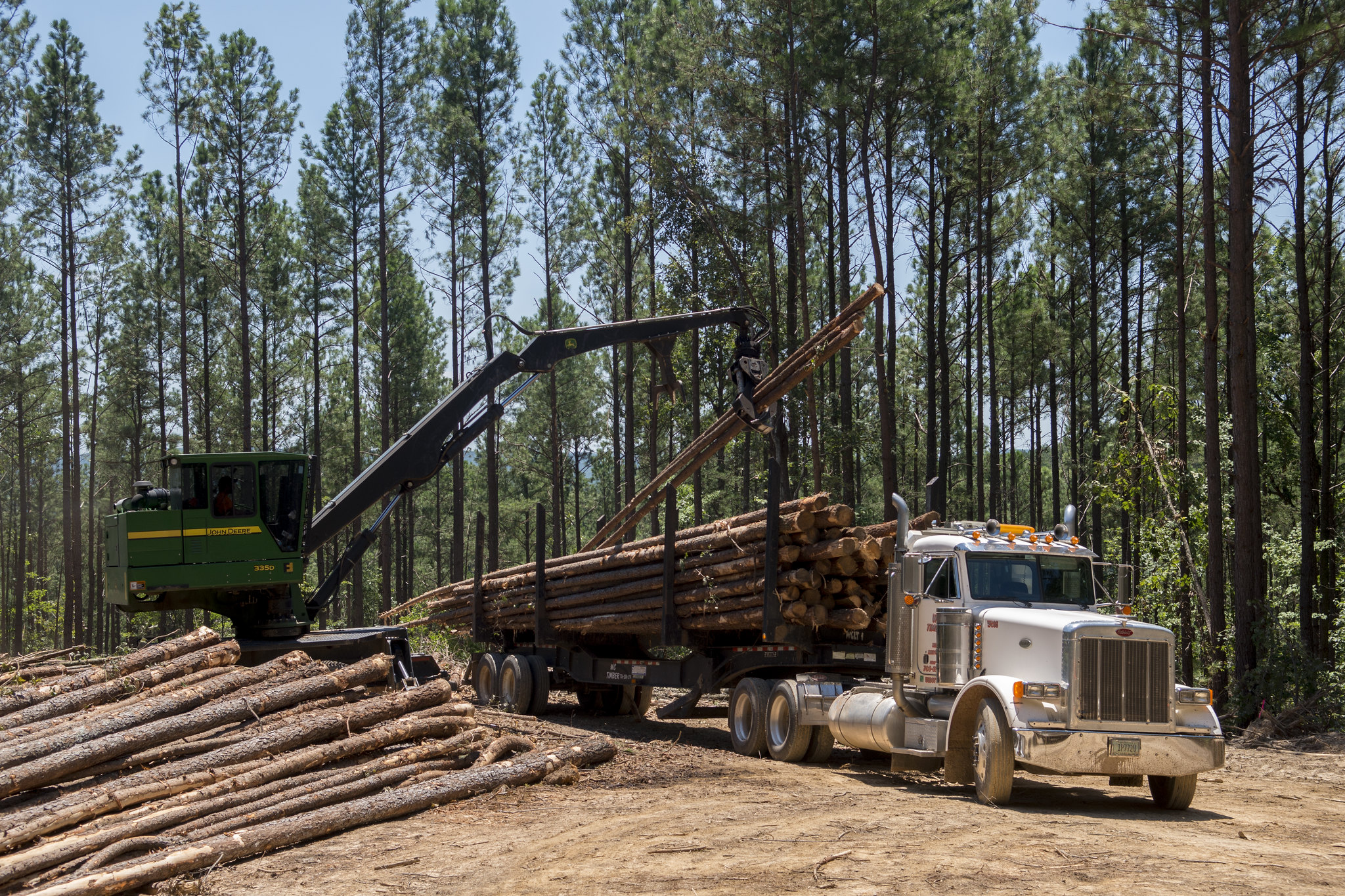 [Titre du site] Vous n'avez que 3 semaines pour vous opposer au recul sans règle, ce qui affectera 45 millions d'acres sauvages aux États-Unis