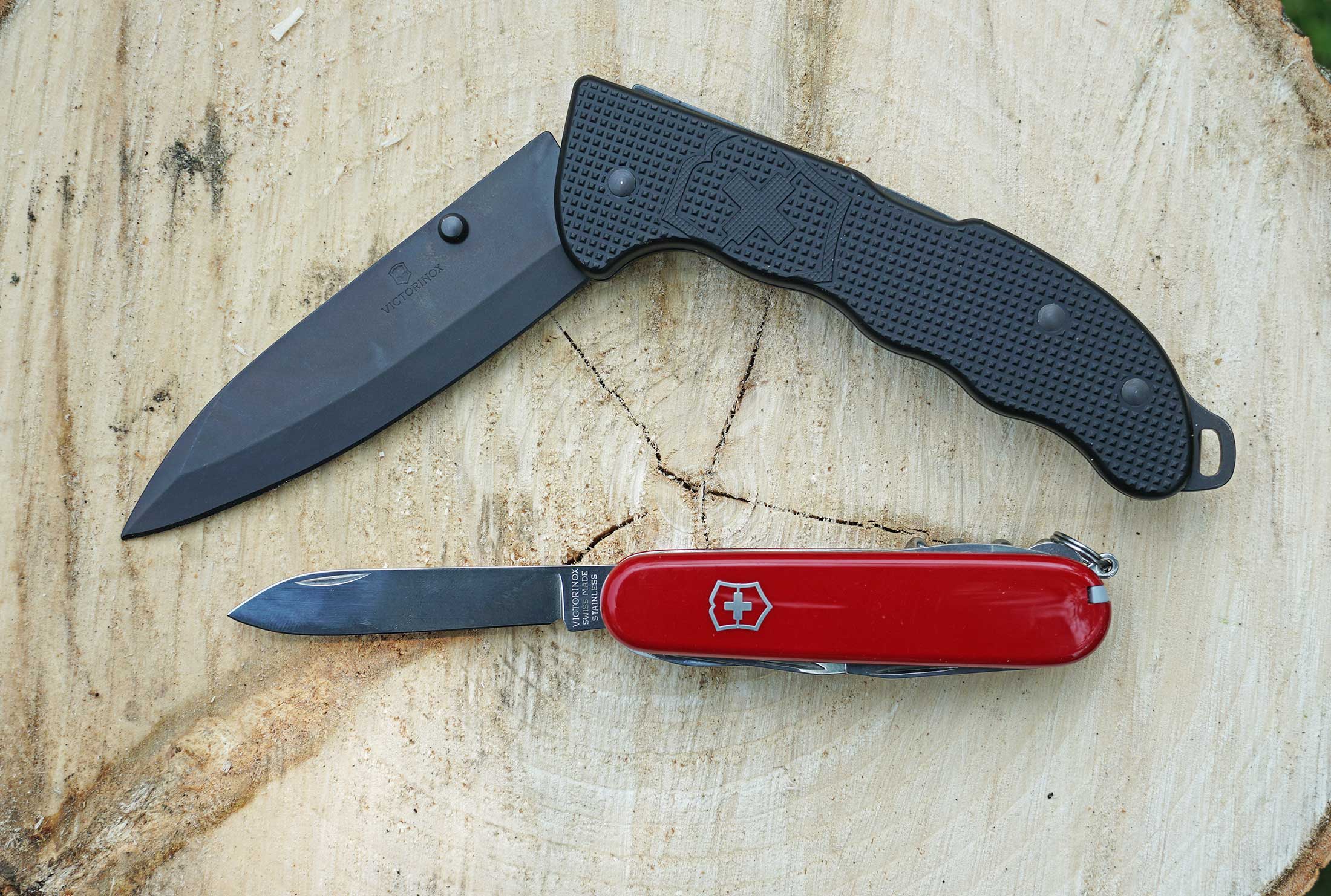 [Titre du site] 9 conseils d'experts en matière de dressage de terrain qui rendront l'éviscémie un cerf beaucoup plus facile