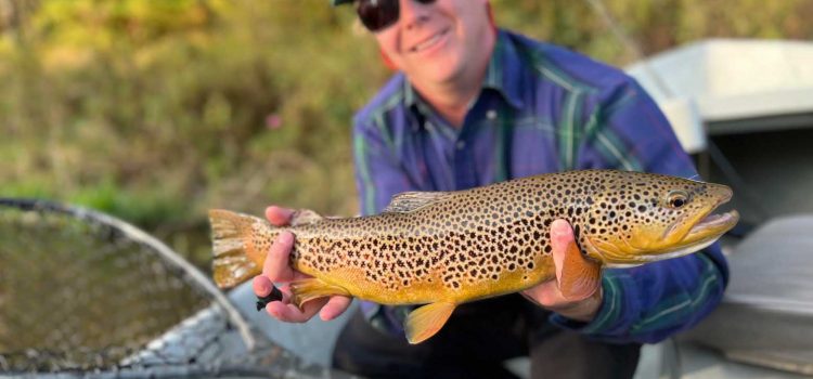 Comment attraper la truite géante sur de minuscules mouches Comment attraper la truite géante sur de minuscules mouches