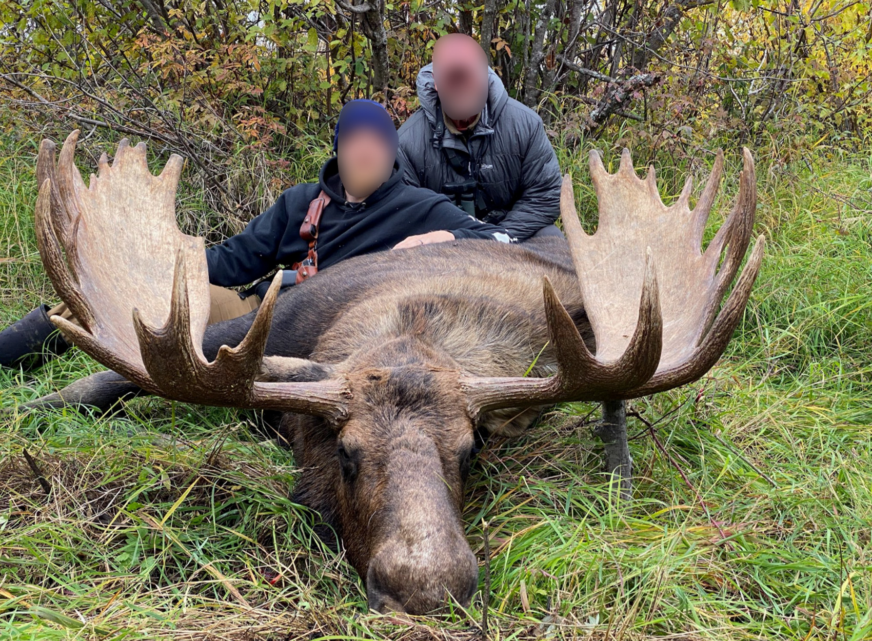 [Titre du site] Guide de l'Alaska a poursuivi pour arracher 32 Moose Hunters a déjà réservé des voyages pour 2025