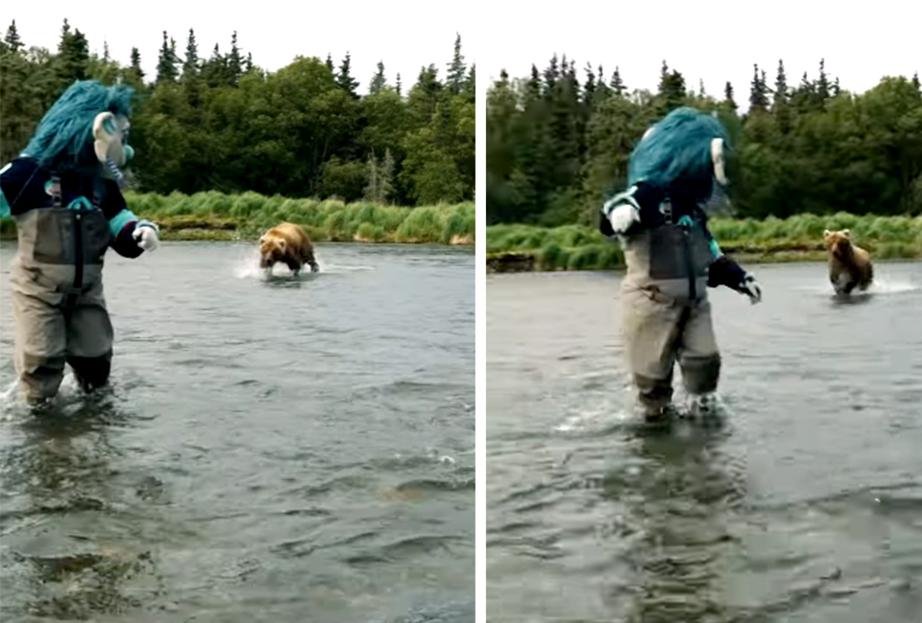 [Titre du site] Le joueur de la LNH chargé par Bear blâme la mascotte debout à côté de lui