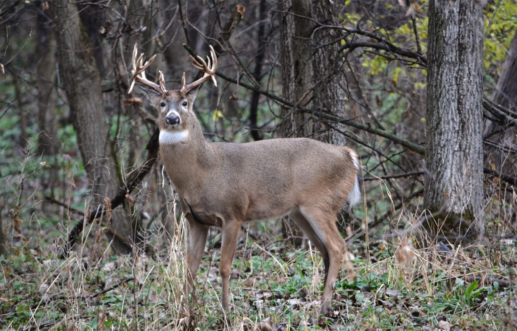 Les législateurs du nord du Michigan veulent se séparer de la Commission du jeu d'État et former le leur