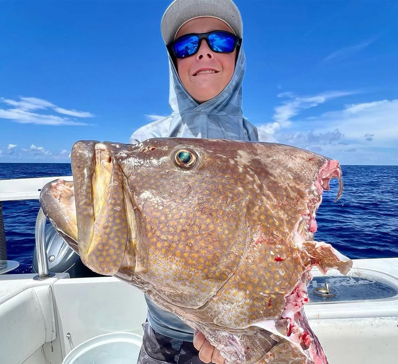 [Titre du site] Que pouvons-nous faire au sujet des requins volant nos prises? Le Congrès veut aussi des réponses