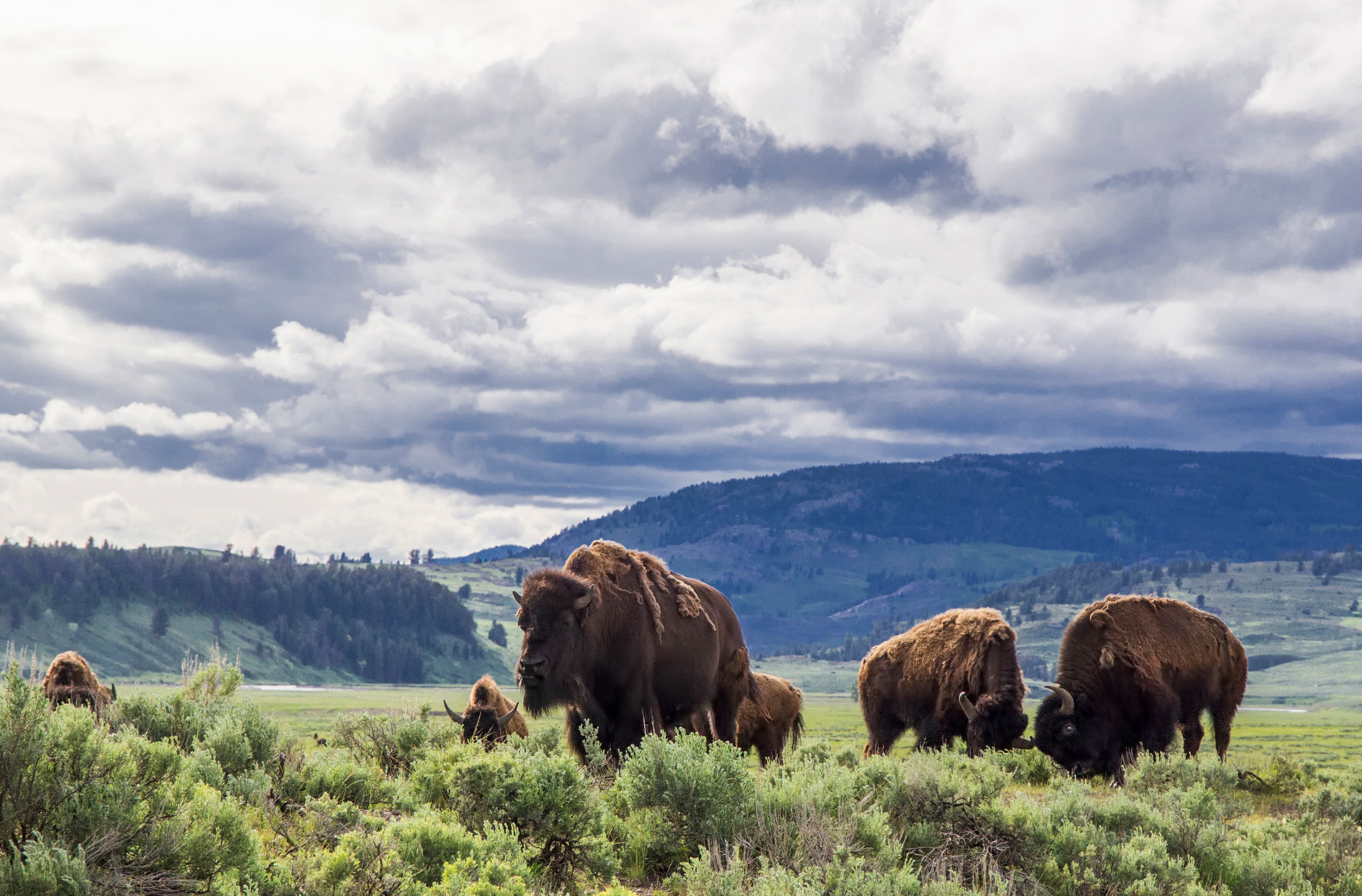 [Titre du site] Voler le LWCF nuirait aux terres publiques américaines. Peut-être que c'est le point