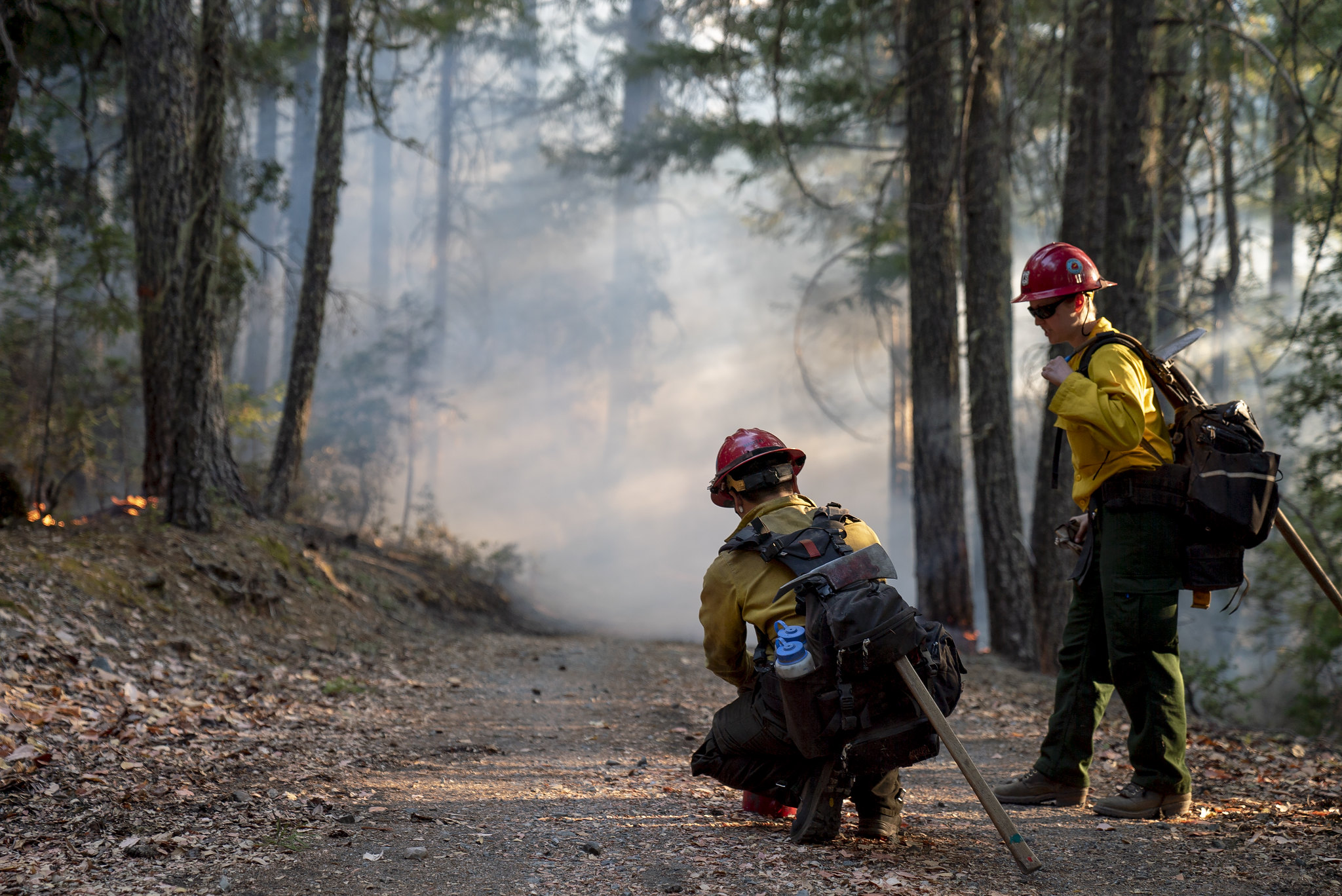 [Titre du site] Vous n'avez que 3 semaines pour vous opposer au recul sans règle, ce qui affectera 45 millions d'acres sauvages aux États-Unis