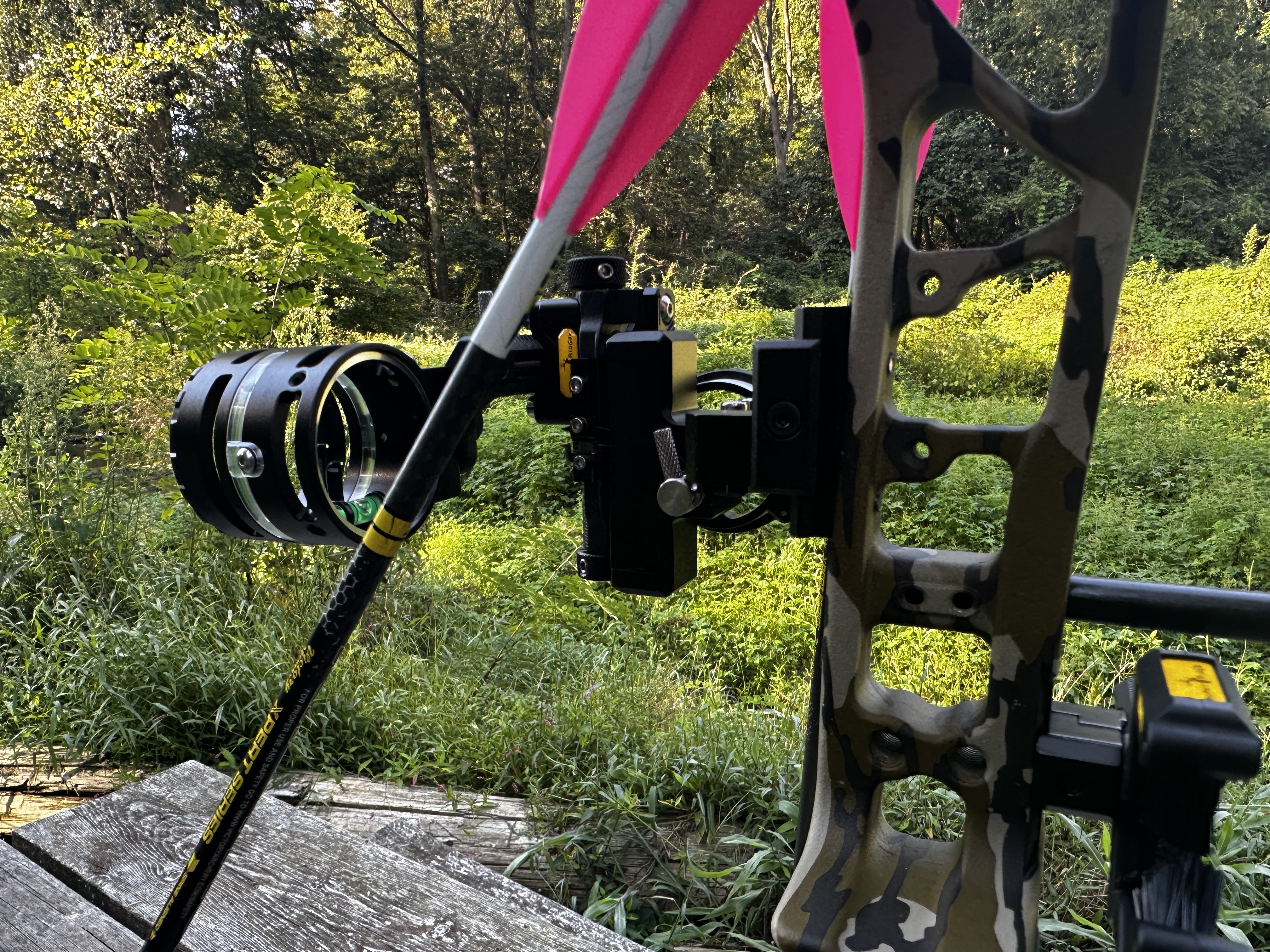 [Titre du site] Bear Adapt 2 HP Review, le meilleur arc à petit budget que nous avons tiré