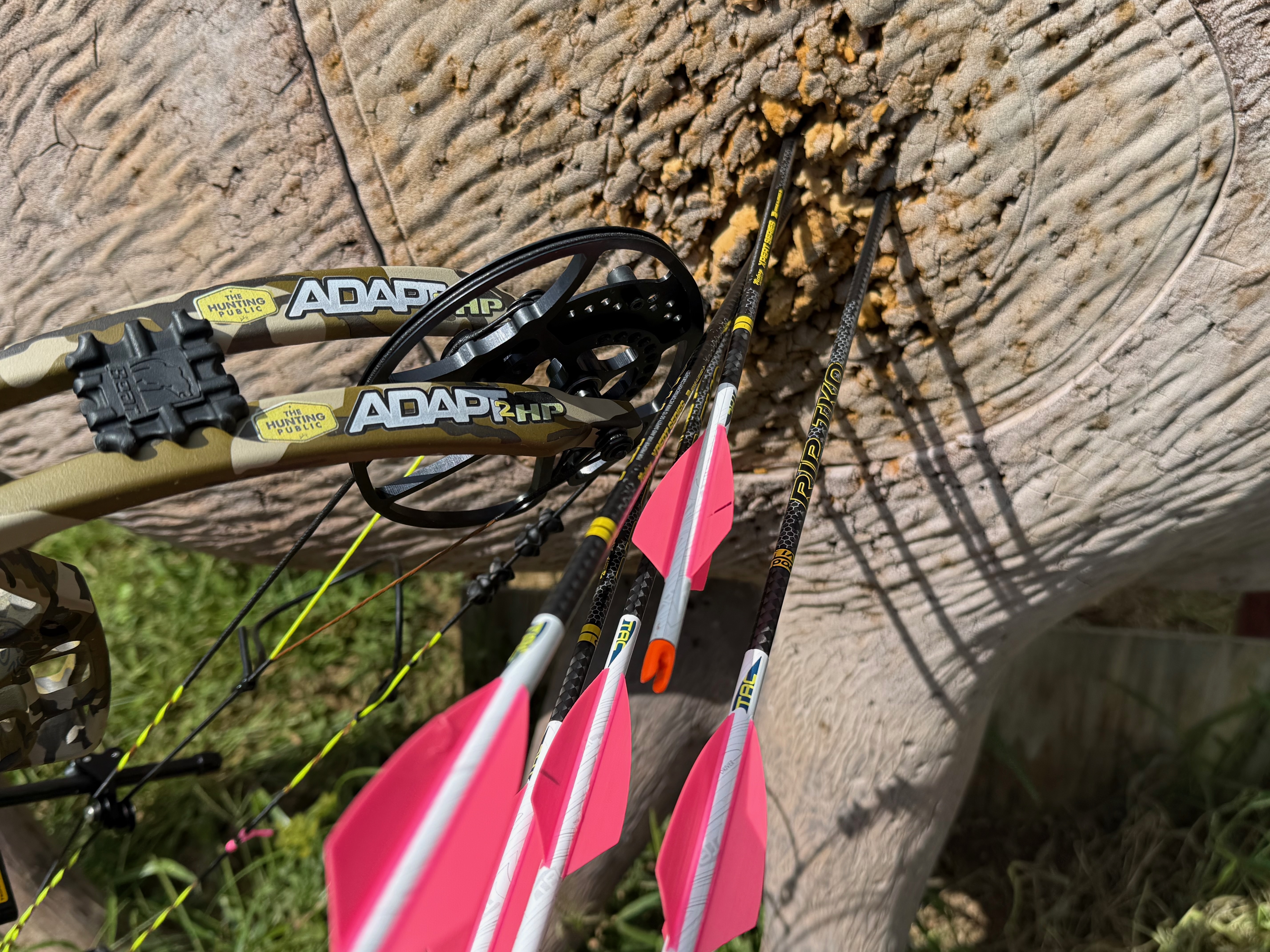 [Titre du site] Bear Adapt 2 HP Review, le meilleur arc à petit budget que nous avons tiré