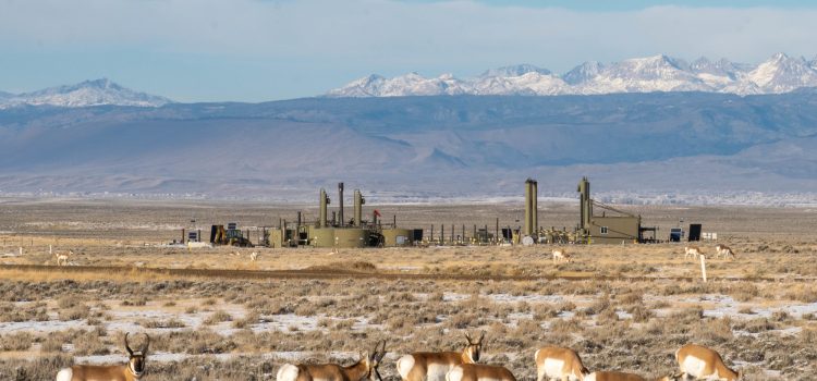 Les Américains ont déjà compris comment équilibrer le développement de l'énergie sur des terres publiques dans leurs États. La Chambre vient de voter pour le défaire
