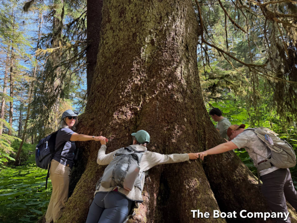 [Titre du site] Croisière du sud-est de l'Alaska avec la compagnie de bateau