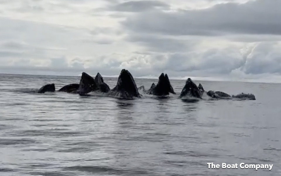 [Titre du site] Croisière du sud-est de l'Alaska avec la compagnie de bateau
