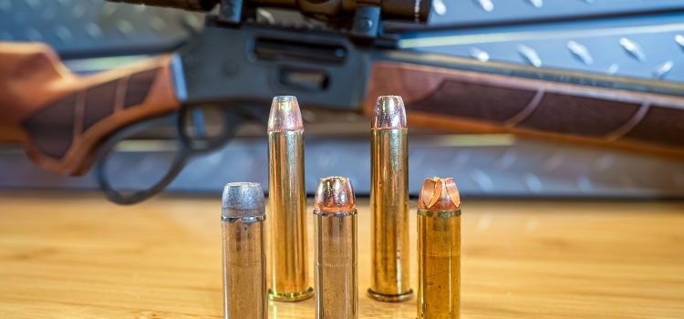 .44 Magnum vs.45-70 Gov't: Lever Gun Shootout
