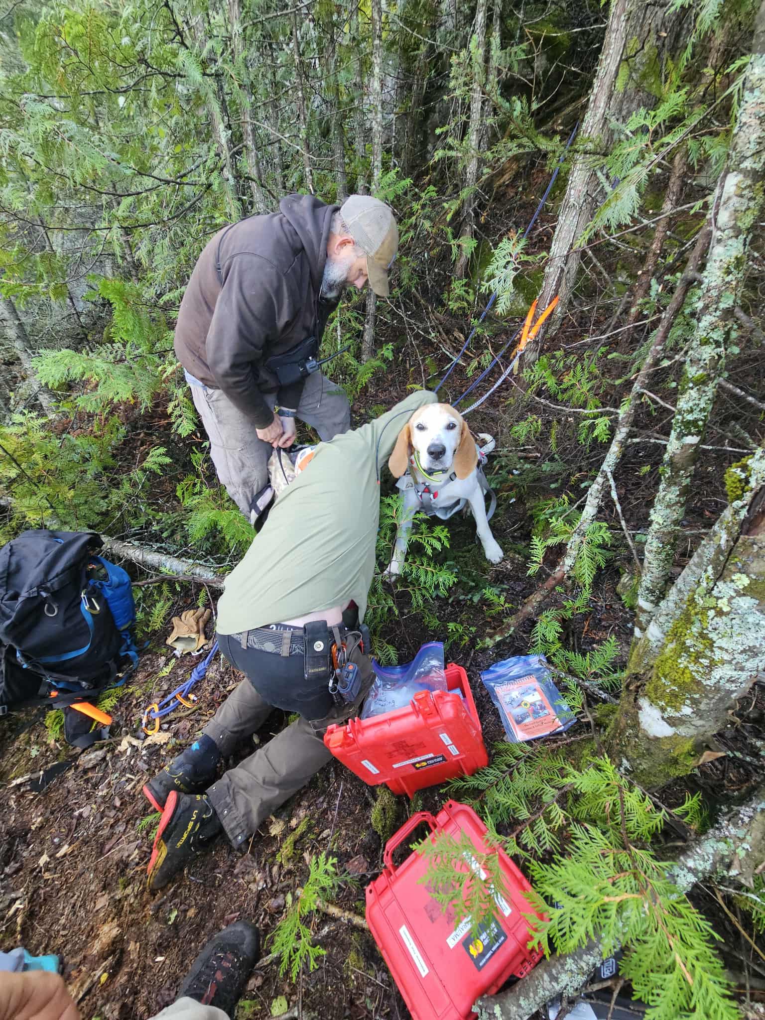 [Titre du site] Boomer The Hound Dog a été bloqué sur une falaise pendant deux jours. Puis il a obtenu un sauvetage improbable