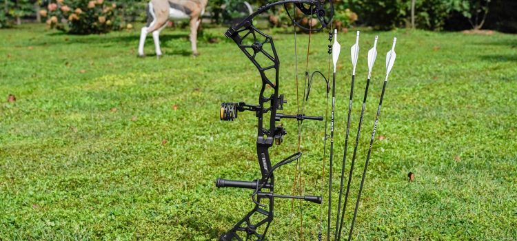 J’ai acheté un arc entièrement réglé en ligne. Voici comment ça a tourné J'ai acheté un arc entièrement réglé en ligne. Voici comment ça a tourné