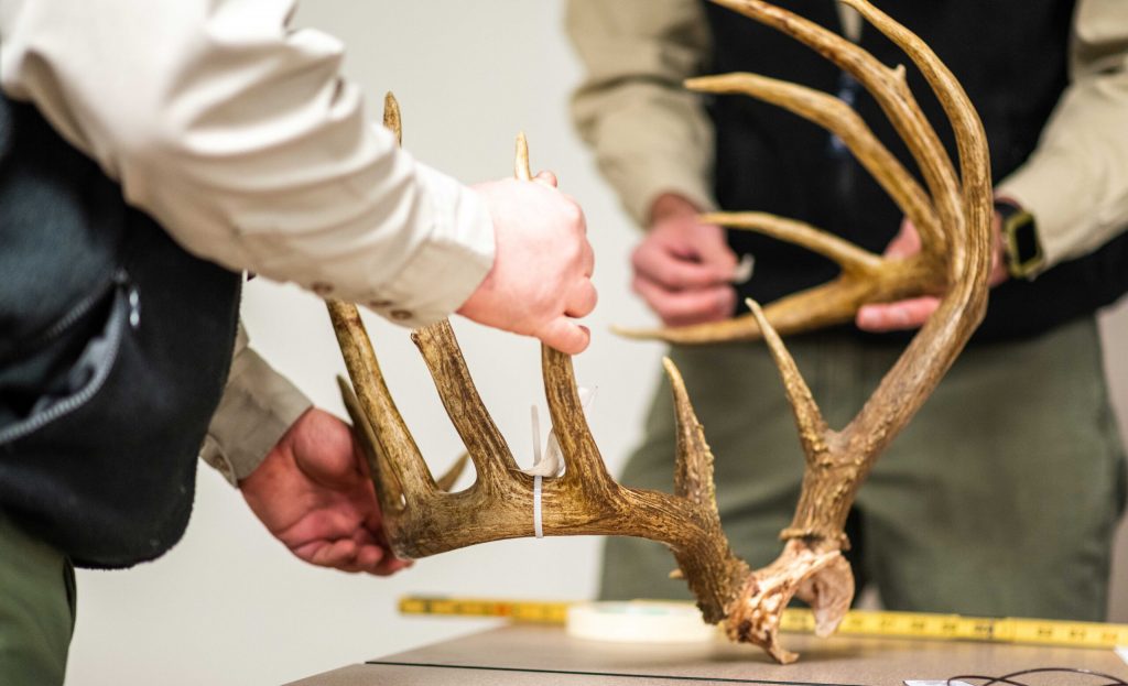 Le braconnage de la faune coûte aux Américains un montant scandaleux