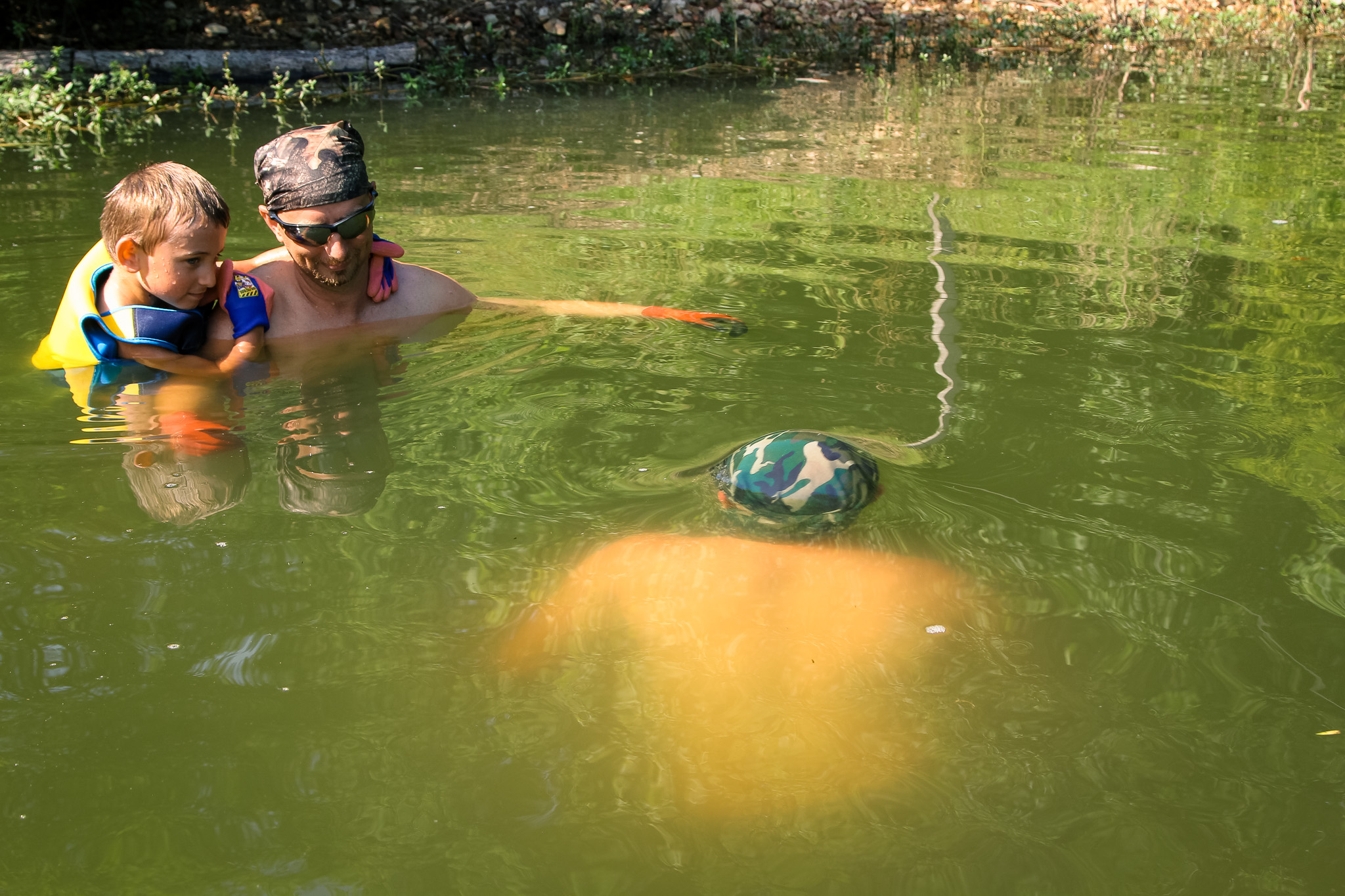 [Titre du site] 18 Photos sauvages de nouilles de poisson-chat luttent les places géantes