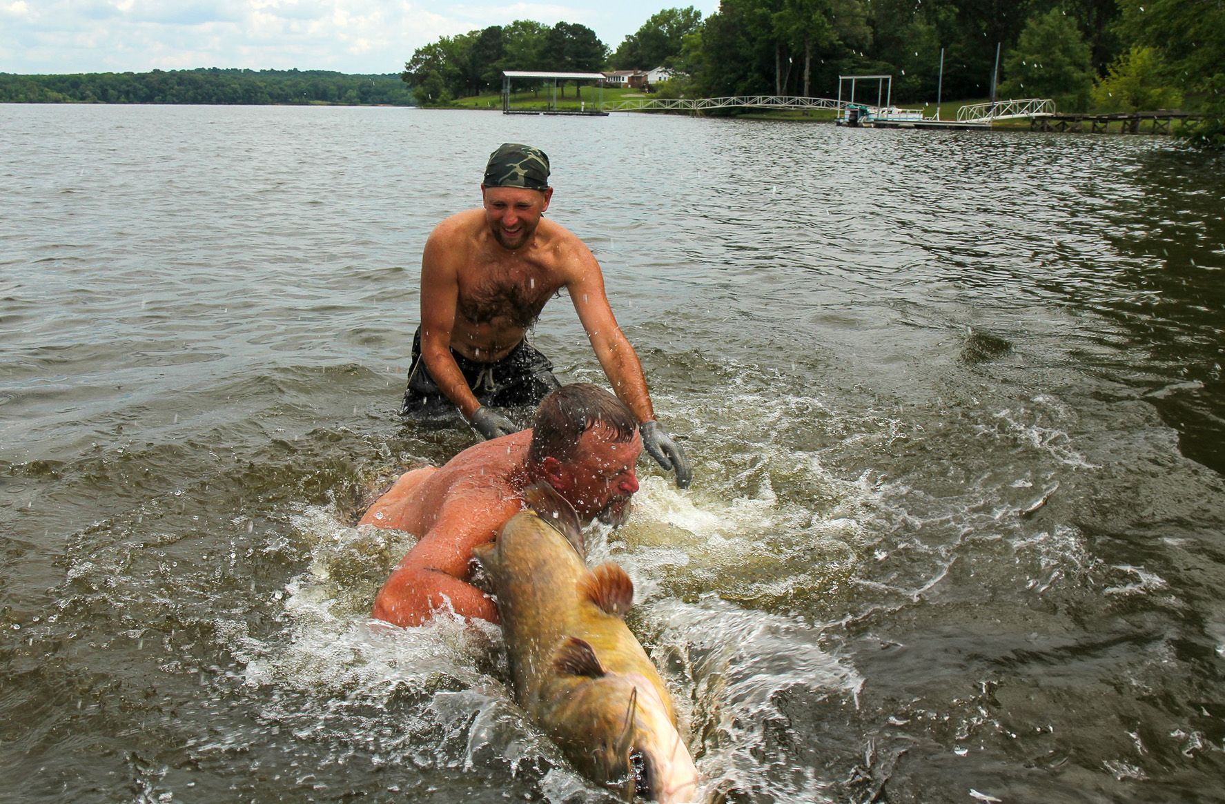 [Titre du site] 18 Photos sauvages de nouilles de poisson-chat luttent les places géantes