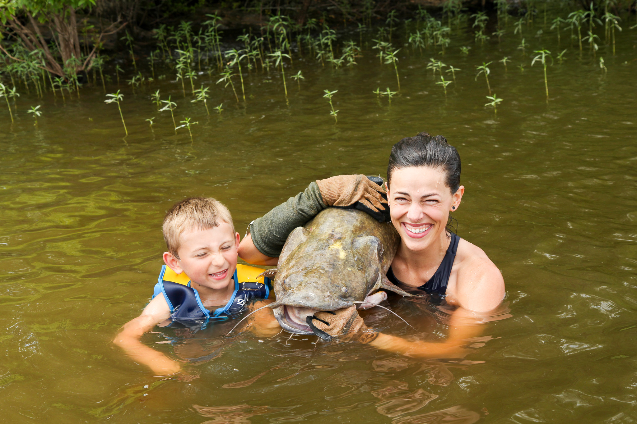 [Titre du site] 18 Photos sauvages de nouilles de poisson-chat luttent les places géantes