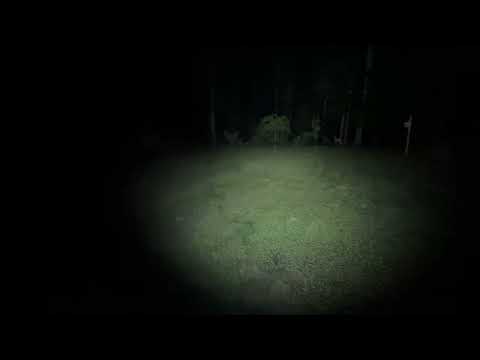 [Titre du site] Mes 4 lampes de poche EDC préférées sont incroyablement brillantes et pochées