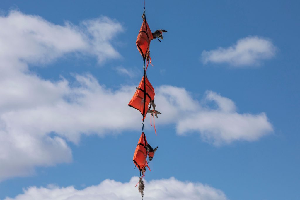 13 photos bizarres et merveilleuses d'une journée d'une journée dans la vie d'un biologiste de conservation