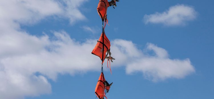 13 photos bizarres et merveilleuses d'une journée d'une journée dans la vie d'un biologiste de conservation
