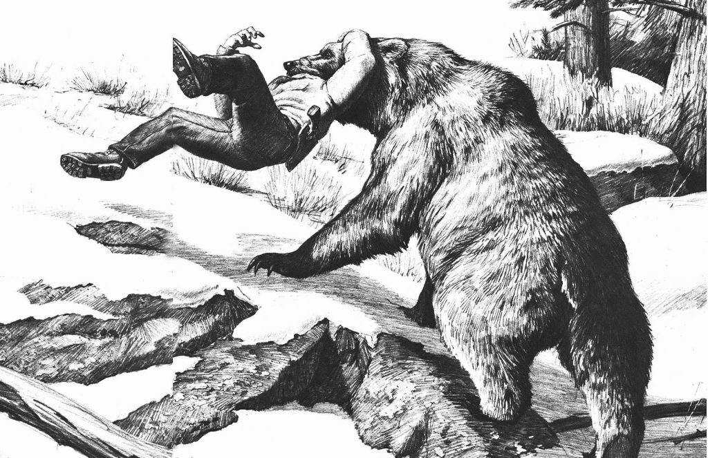 Je me souviendrai toujours du jour où j'ai fait le tour avec un grizzly