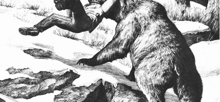 Je me souviendrai toujours du jour où j’ai fait le tour avec un grizzly Je me souviendrai toujours du jour où j'ai fait le tour avec un grizzly