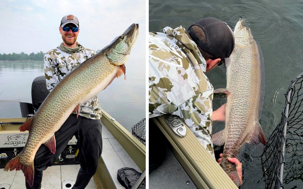 Giant Muskie capturé et sorti à Green Bay est un nouveau record du Wisconsin