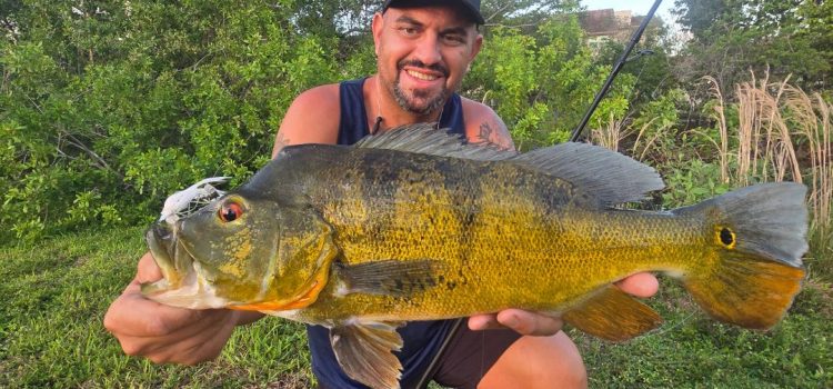 Vous devez poursuivre ces poissons de Floride qui se battent durs avant de mourir Vous devez poursuivre ces poissons de Floride qui se battent durs avant de mourir