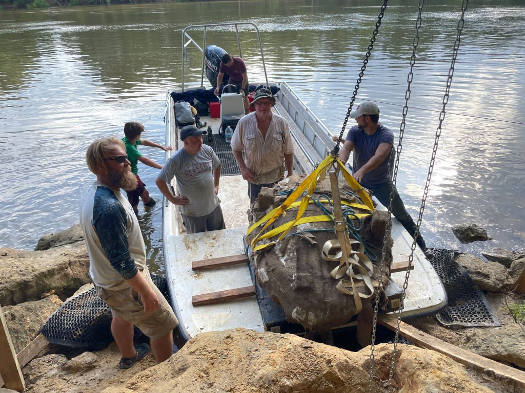 Photos: Une famille a trouvé ce fossile géant (et a découvert une nouvelle espèce) lors de la pêche en Alabama