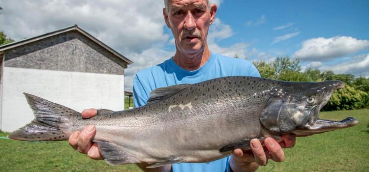 Fisherman dépouillé de son dossier de saumon en raison de cette étrange technicité
