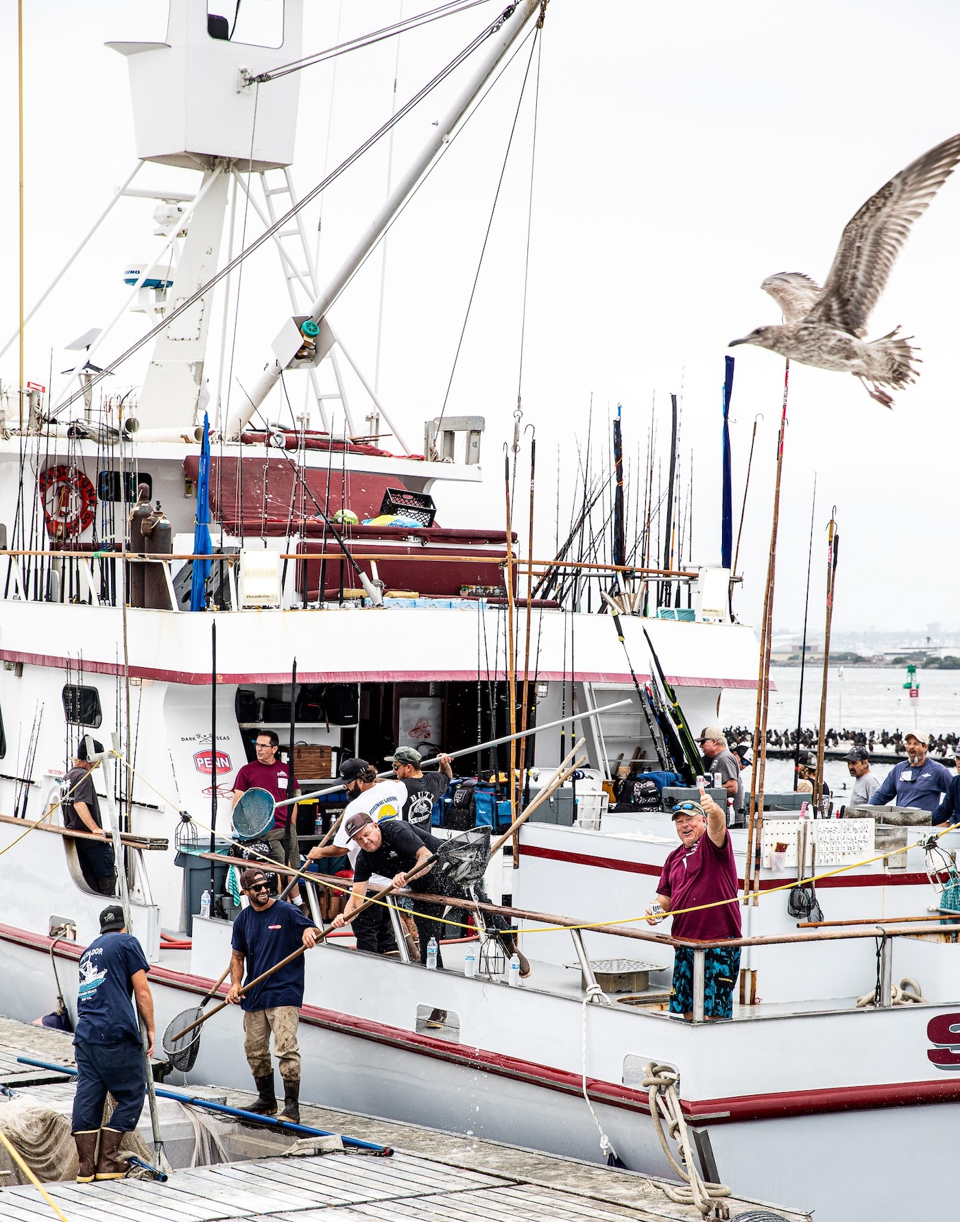 [Titre du site] 21 Photos sauvages des équipes de charter purs et durs qui ne peuvent pas arrêter la pêche au thon