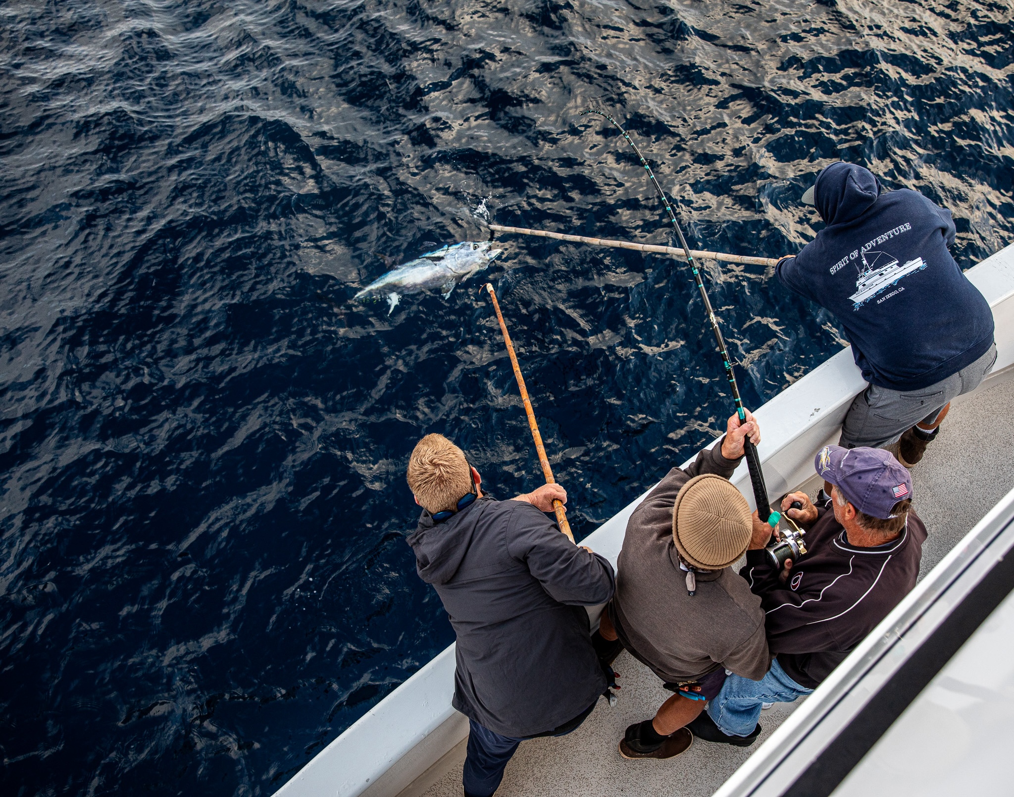[Titre du site] 21 Photos sauvages des équipes de charter purs et durs qui ne peuvent pas arrêter la pêche au thon
