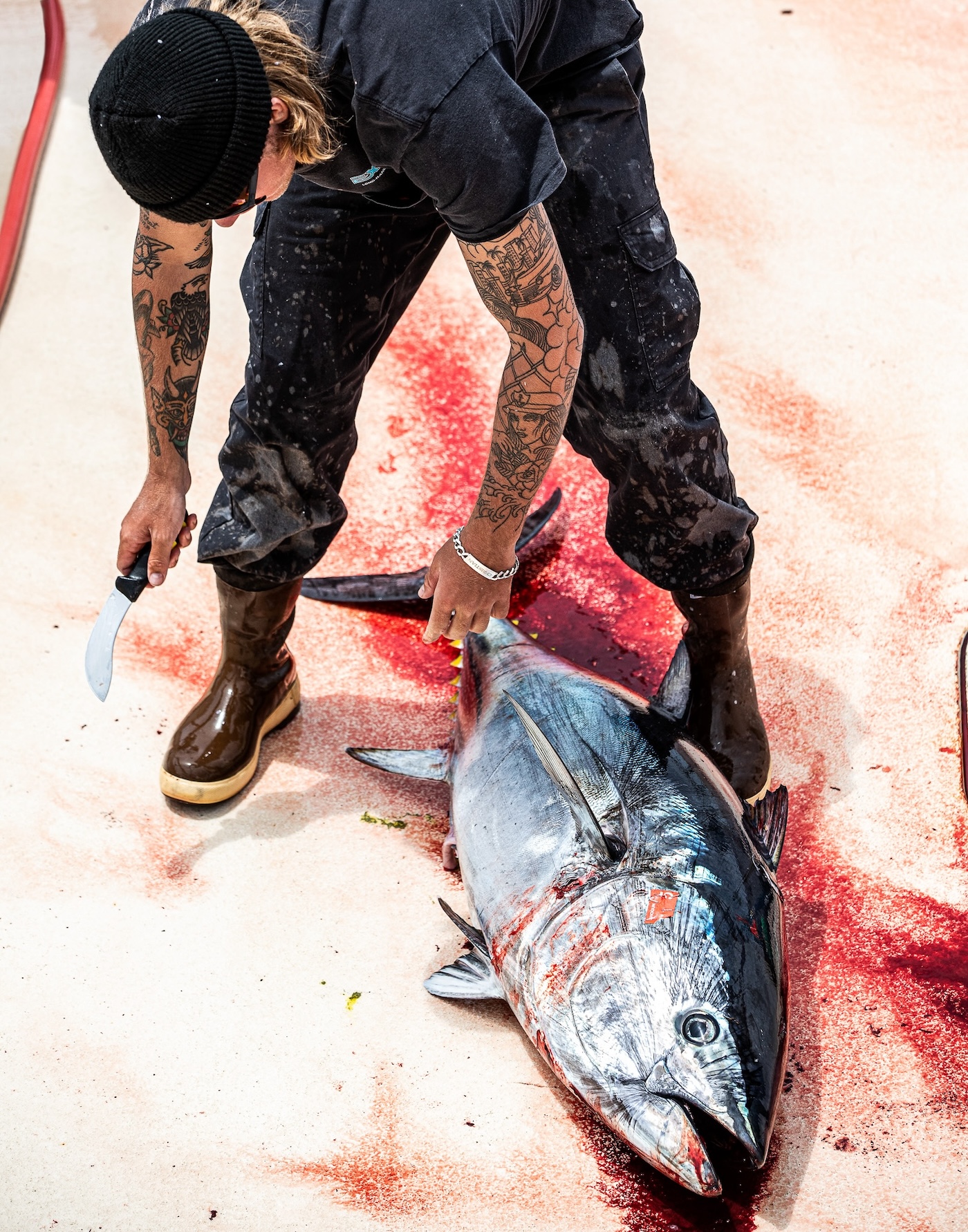 [Titre du site] 21 Photos sauvages des équipes de charter purs et durs qui ne peuvent pas arrêter la pêche au thon