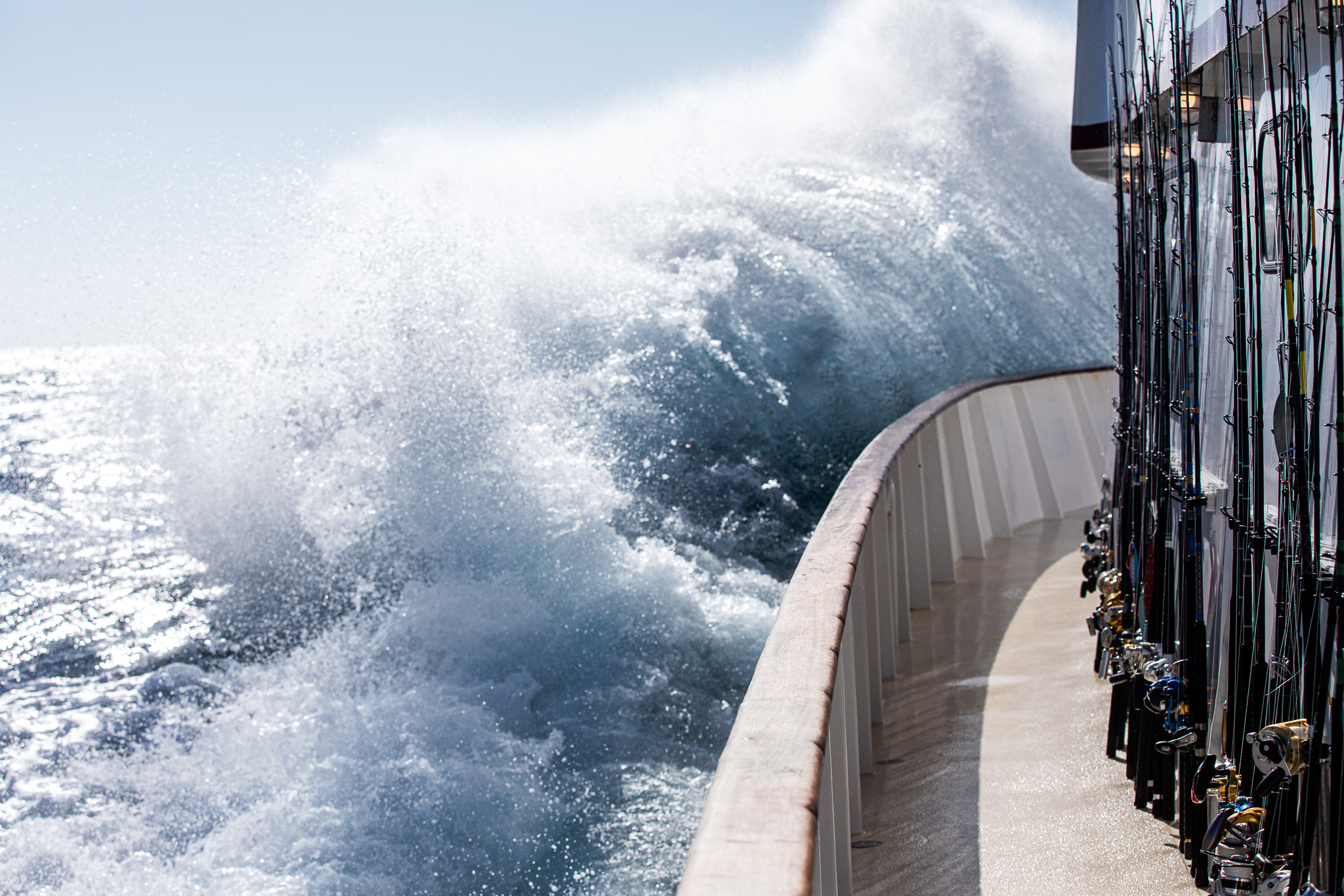 [Titre du site] 21 Photos sauvages des équipes de charter purs et durs qui ne peuvent pas arrêter la pêche au thon