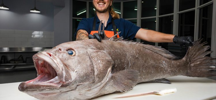 Podcast rapide: comment maximiser les filets, avec la marque REED «The Fish Monger»
