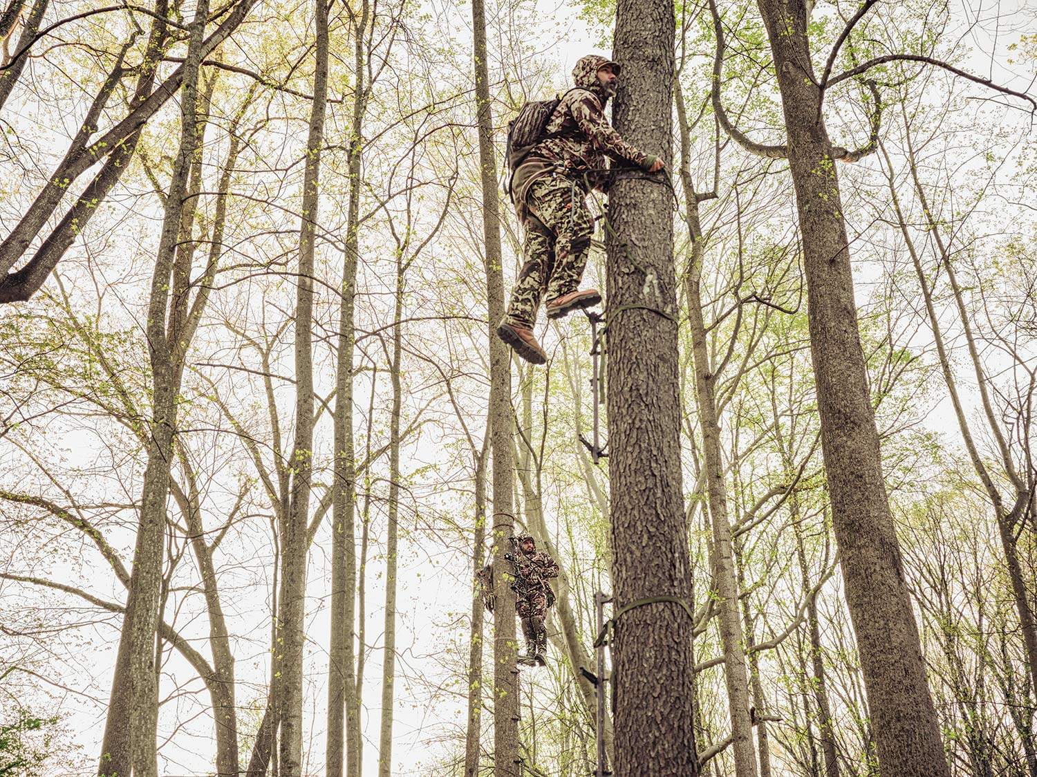 [Titre du site] 9 photos d'une journée surréaliste dans la vie des chasseurs de cerf de banlieue