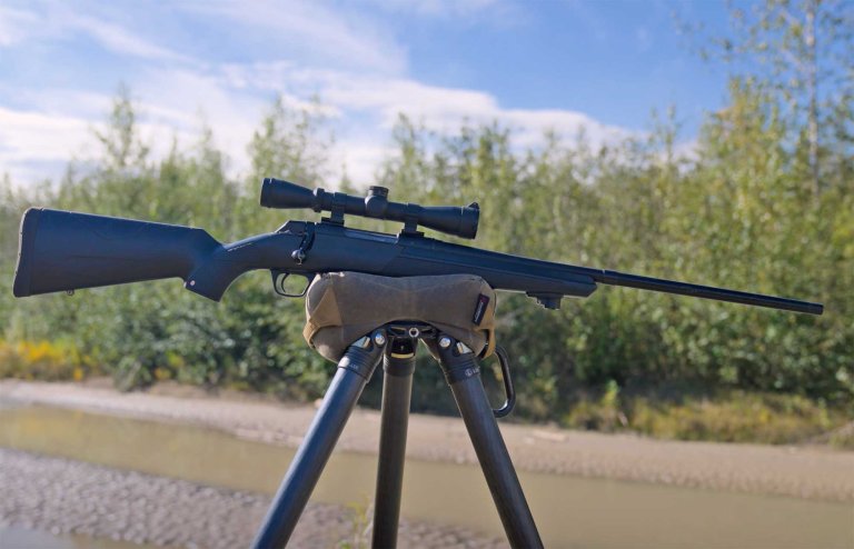 [Titre du site] J'ai tué des dizaines d'ours. Voici ce qui fait réellement un grand pistolet d'ours