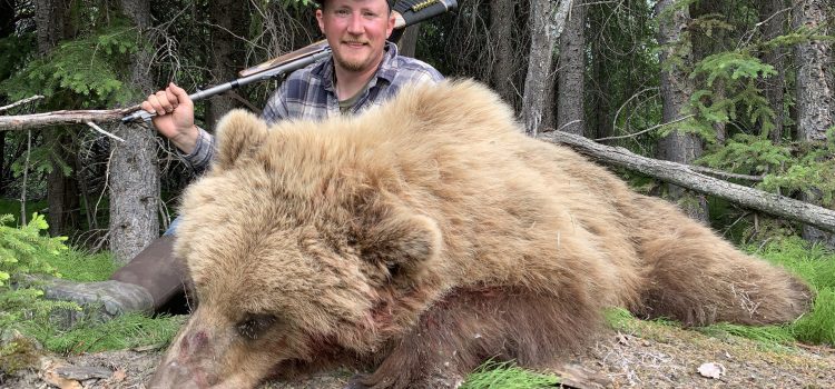 J'ai tué des dizaines d'ours. Voici ce qui fait réellement un grand pistolet d'ours
